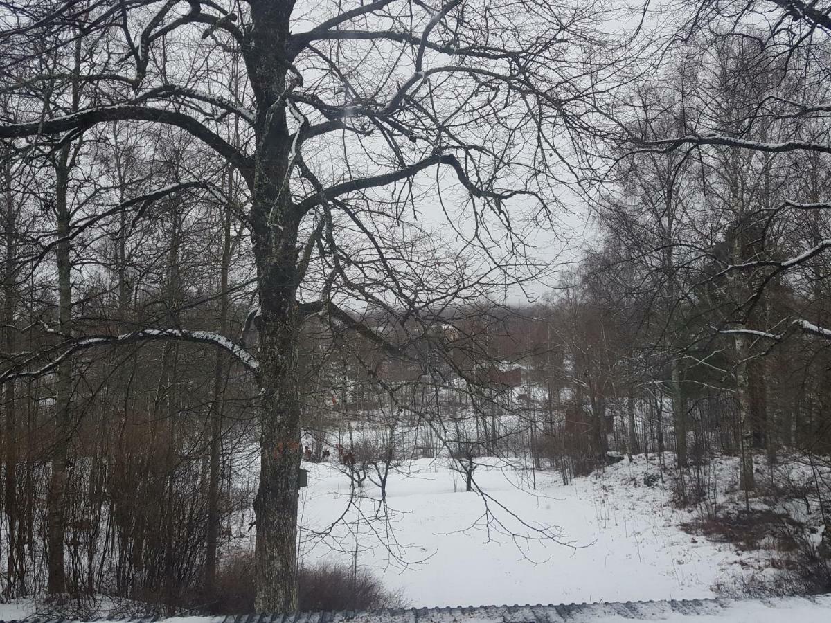 Brukshotellet Skinnsberg Skinnskatteberg 外观 照片